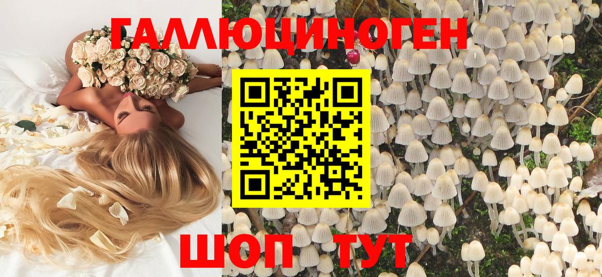Пугачёв  Псилоцибиновые грибы мухоморы  Вход с VPN  Галлюциногенные грибы Psilocybe 