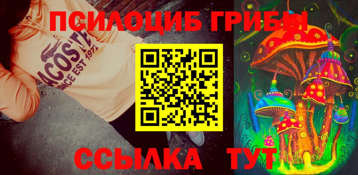 Галлюциногенные грибы Psilocybine cubensis Пугачёв