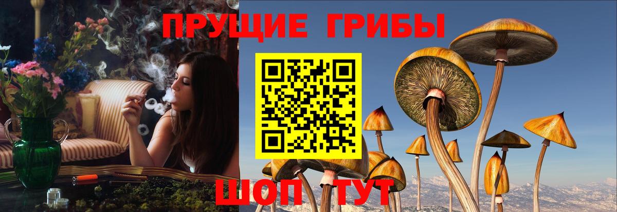 ТГК Пугачёв